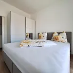 Kulas * 노비비노돌스키
